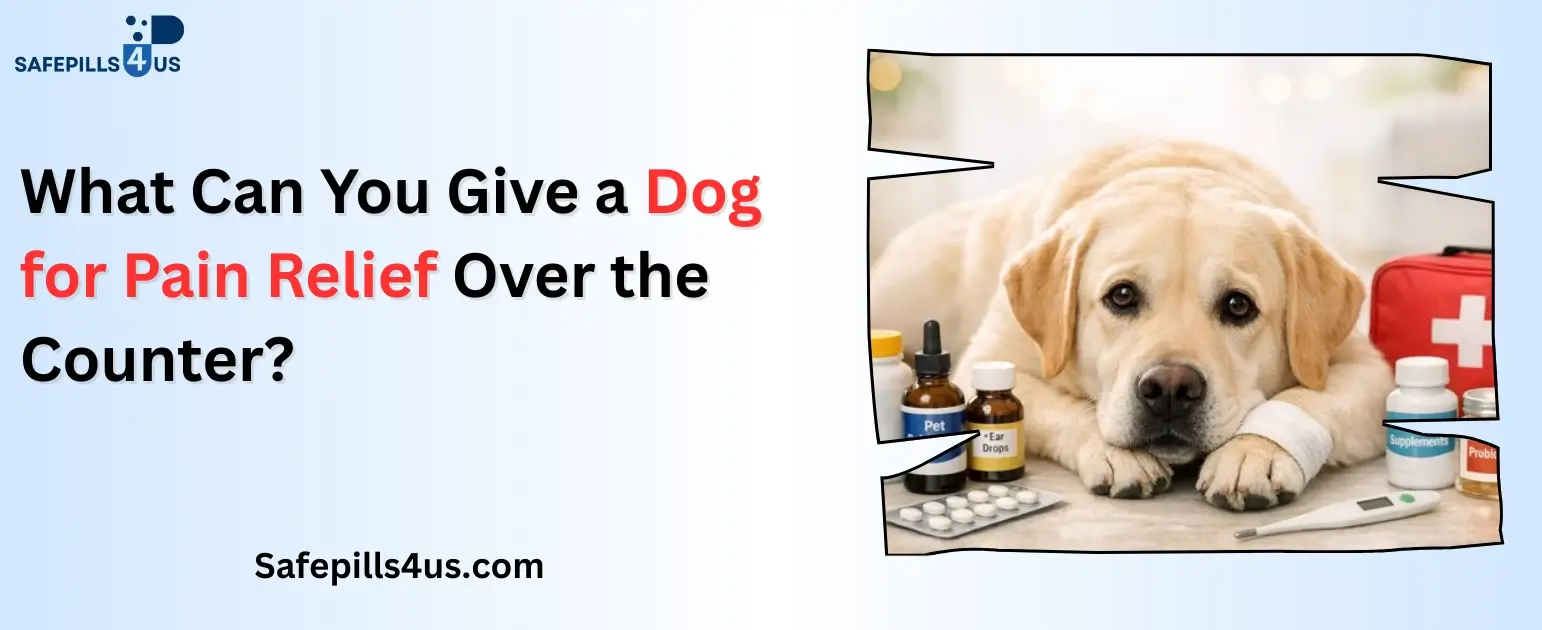 What Can You Give a Dog for Pain Relief Over the Counter?